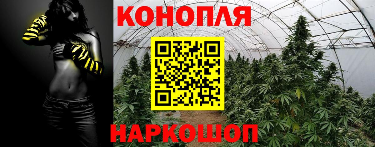 Бошки марихуана SATIVA & INDICA Знаменск